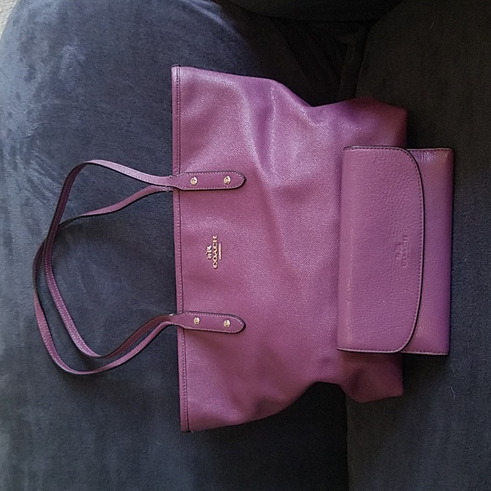 Coach purse and wallet set